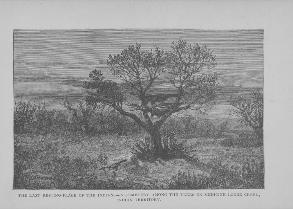 Medicine Lodge Treaty (1867)